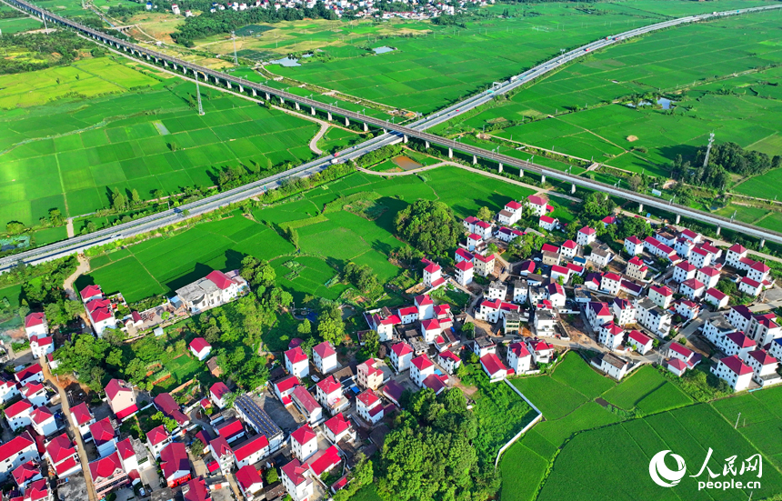 抚州市东乡区邓家乡古圩村，高速公路和高速铁路穿村而过，与沿线乡村农房、稻田相映成景。人民网 朱海鹏摄