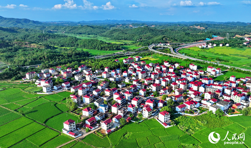 撫州市東鄉區鄧家鄉古圩村，高速公路和高速鐵路穿村而過，與沿線鄉村農房、稻田相映成景。人民網 朱海鵬攝