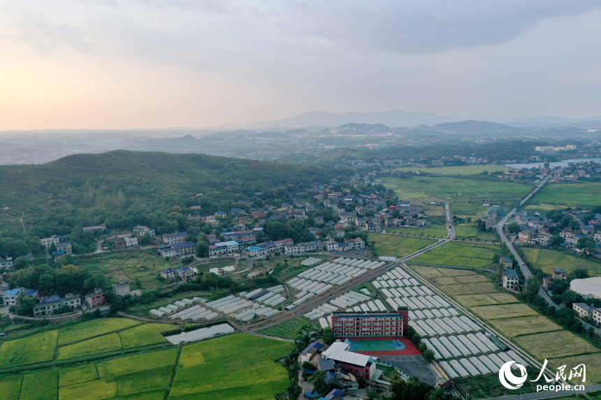 曾經的“煤陷區”經過礦區復綠、鄉村治理后綠意盎然，“煤村”蝶變成為“美村”。人民網記者 時雨攝