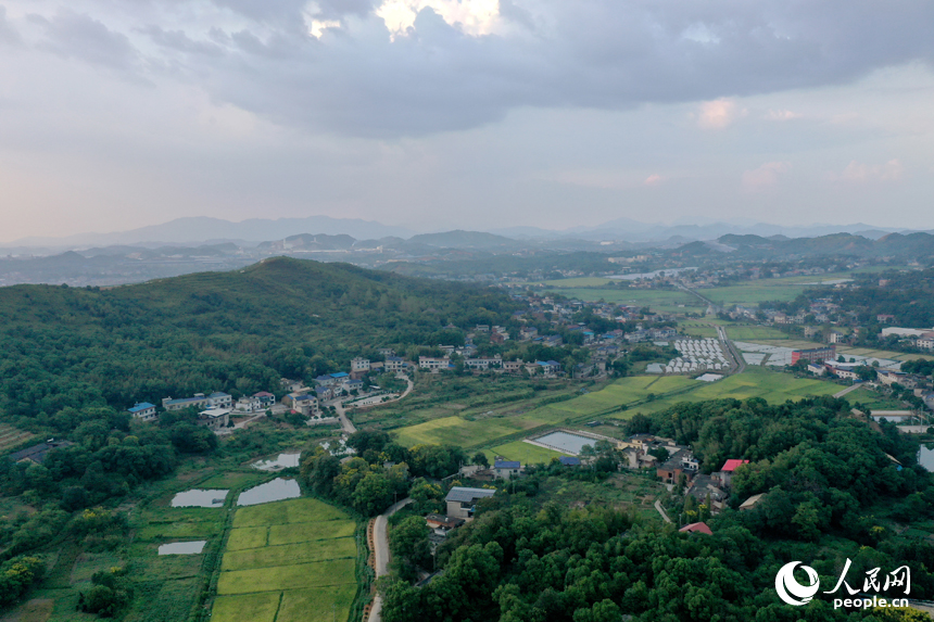 曾經的“煤陷區”經過礦區復綠、鄉村治理后綠意盎然，“煤村”蝶變成為“美村”。人民網記者 時雨攝