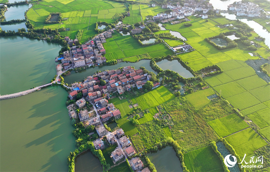 南昌县富山乡清湖村，蜿蜒的灌溉水渠与村庄农房、田园绿植相映成趣。人民网 朱海鹏摄