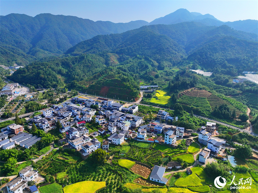 贛州市安遠縣三百山鎮符山村，仲秋時節的鄉村大地如同一幅畫。人民網 朱海鵬攝