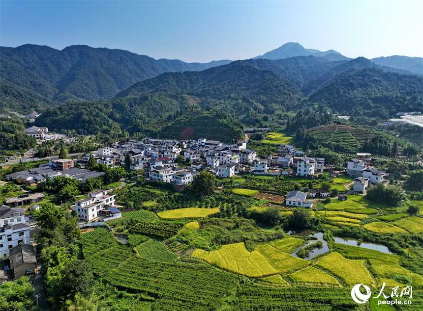 贛州市安遠縣三百山鎮符山村，仲秋時節的鄉村大地如同一幅畫。人民網 朱海鵬攝