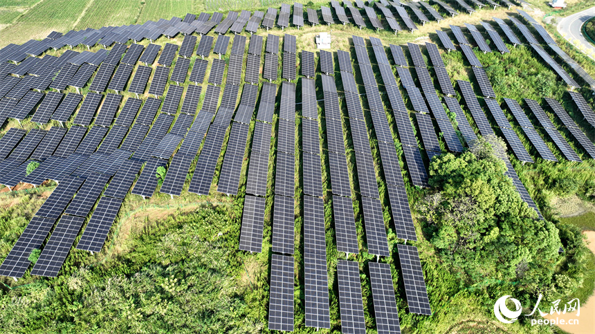 光伏板與周邊的村庄、綠色的稻田和遠山上的風力發電機相映成趣。鄭飛華攝