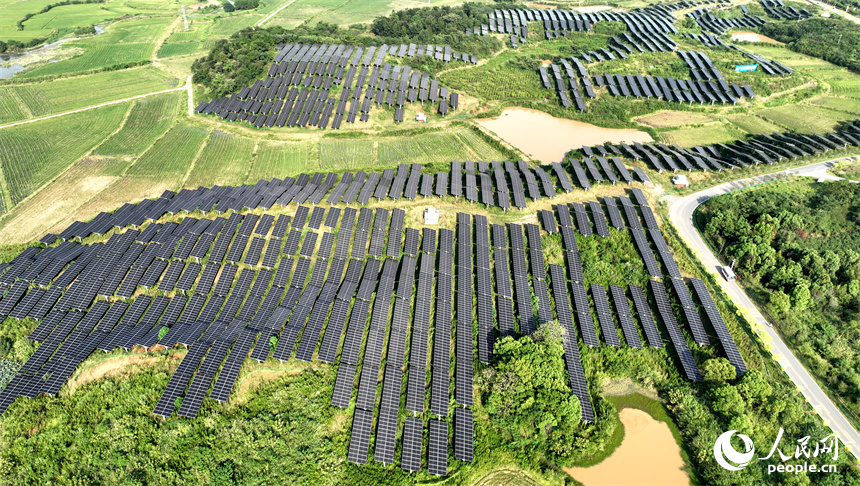 光伏板與周邊的村庄、綠色的稻田和遠山上的風力發電機相映成趣。鄭飛華攝