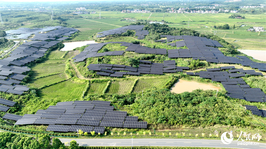 光伏板與周邊的村庄、綠色的稻田和遠山上的風力發電機相映成趣。鄭飛華攝