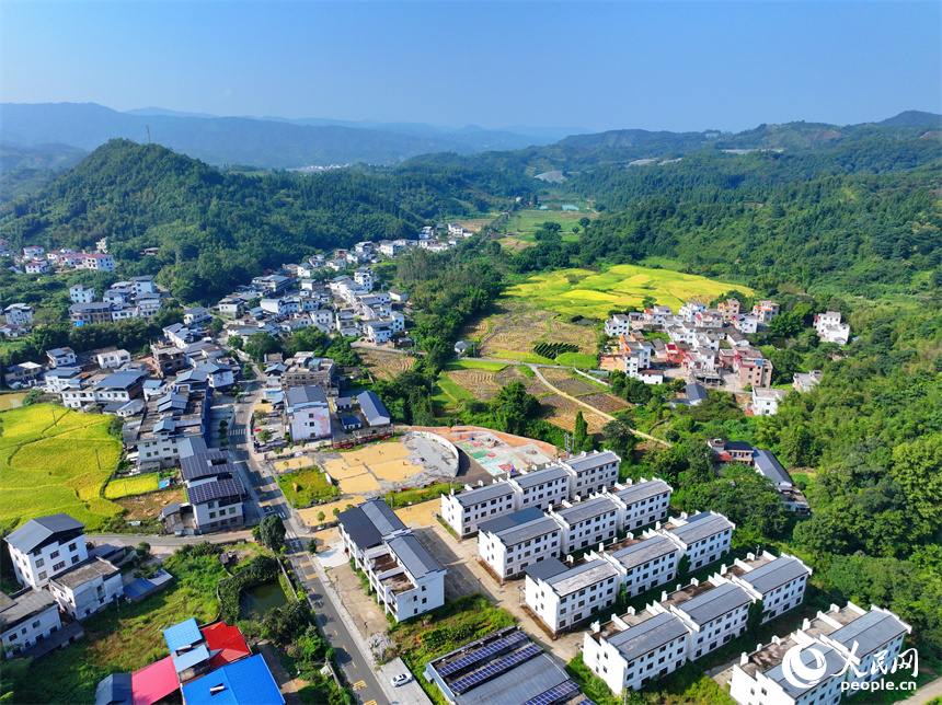 赣州市安远县三百山镇咀下村，金色稻田与民居相互映衬，一幅和美乡村的丰收画卷徐徐展开。人民网 朱海鹏摄