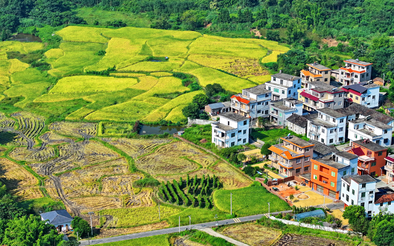 江西安远：山村“丰”景如画