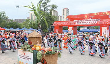 庆祝中国农民丰收节