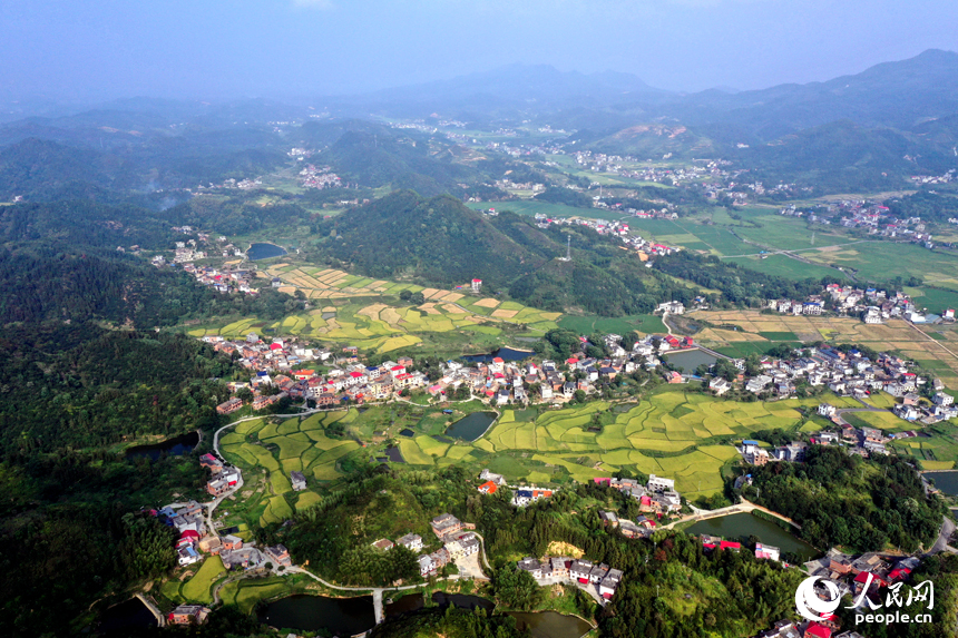 上栗县赤山镇黄绿相间的山村田野，青山、农房、道路、小溪相互映衬，构成了一幅秀美的秋日丰收画卷。人民网记者 时雨摄