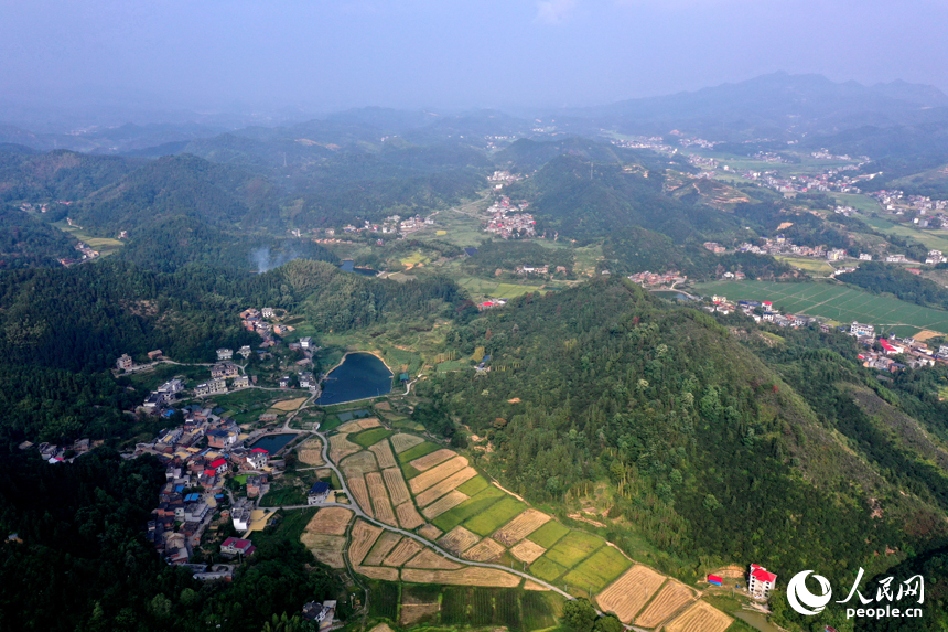 上栗县赤山镇黄绿相间的山村田野，青山、农房、道路、小溪相互映衬，构成了一幅秀美的秋日丰收画卷。人民网记者 时雨摄