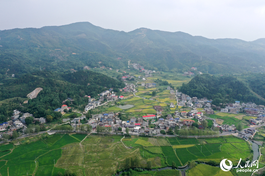 上栗县赤山镇黄绿相间的山村田野，青山、农房、道路、小溪相互映衬，构成了一幅秀美的秋日丰收画卷。人民网记者 时雨摄