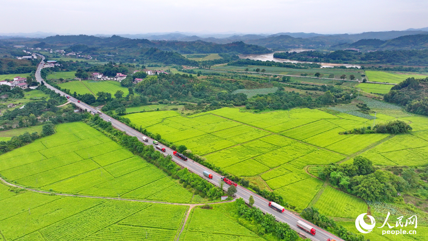 南丰县白舍镇白舍村，货车、汽车往来穿行，笔直的公路与耕地、村庄、远山相映成趣，景美如画。人民网 朱海鹏摄