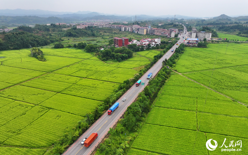 南豐縣白舍鎮白舍村，貨車、汽車往來穿行，筆直的公路與耕地、村庄、遠山相映成趣，景美如畫。人民網 朱海鵬攝