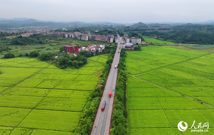 南丰县白舍镇白舍村，货车、汽车往来穿行，笔直的公路与耕地、村庄、远山相映成趣，景美如画。人民网 朱海鹏摄