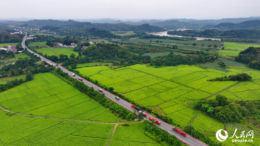 南豐縣白舍鎮白舍村，貨車、汽車往來穿行，筆直的公路與耕地、村庄、遠山相映成趣，景美如畫。人民網 朱海鵬攝