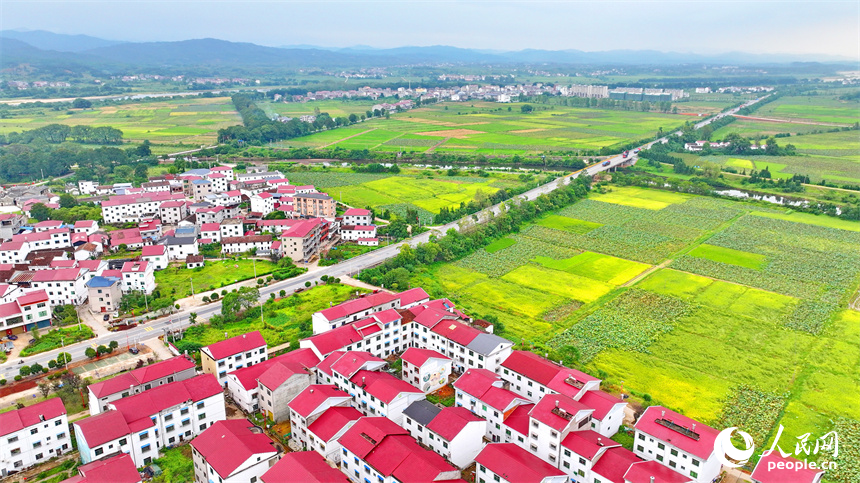 抚州市广昌县甘竹镇罗家村，错落有致的农房与广袤农田、蜿蜒河流、笔直公路相映相称，秋景怡人。人民网 朱海鹏摄