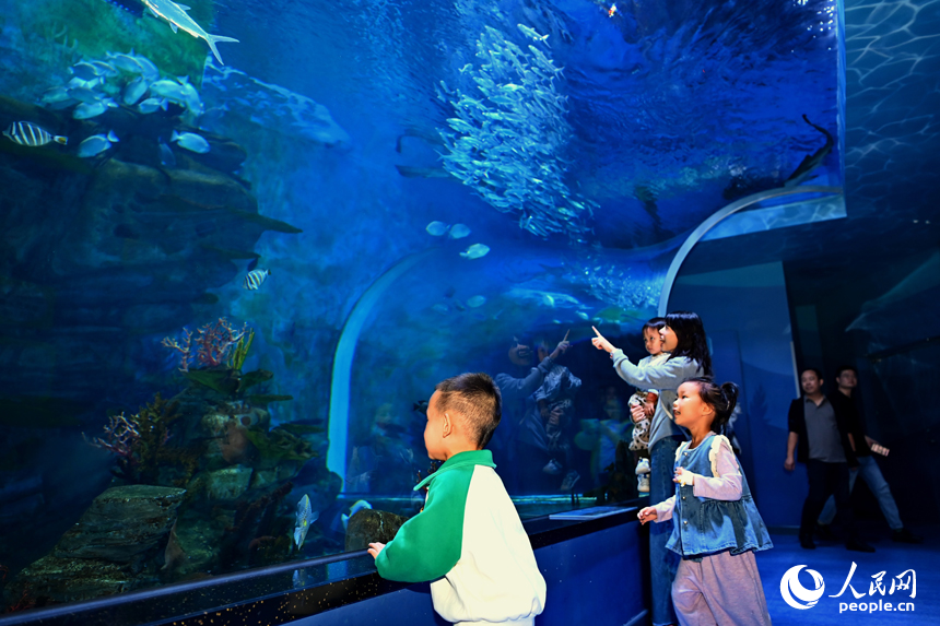 九江市湖口縣江豚灣的長江鄱陽湖水生生物保護基地，許多游客在水族館觀賞水生物。人民網 朱海鵬攝