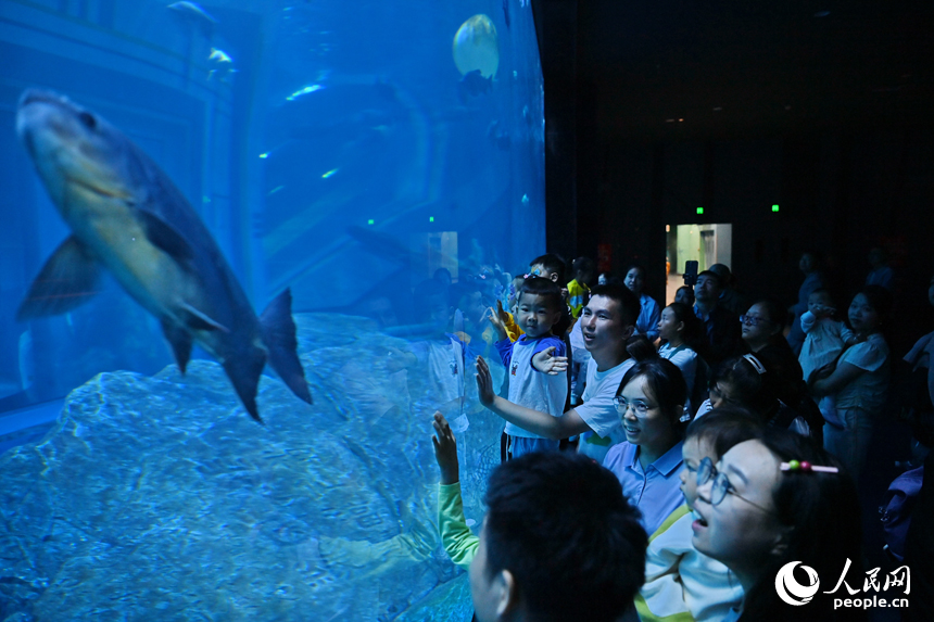 九江市湖口縣江豚灣的長江鄱陽湖水生生物保護基地，許多游客在水族館觀賞水生物。人民網 朱海鵬攝