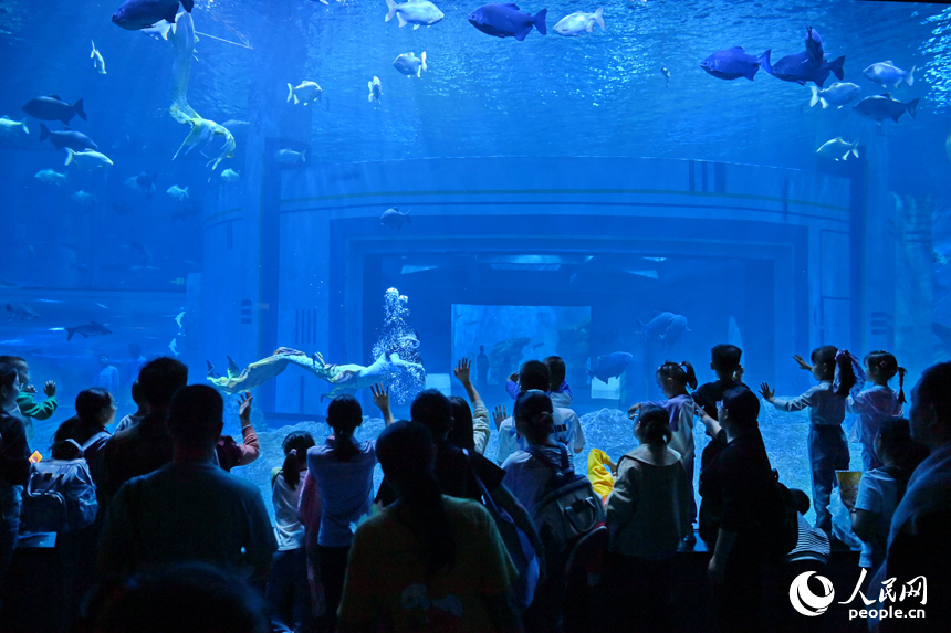 九江市湖口縣江豚灣的長江鄱陽湖水生生物保護基地，許多游客在水族館觀賞水生物。人民網 朱海鵬攝