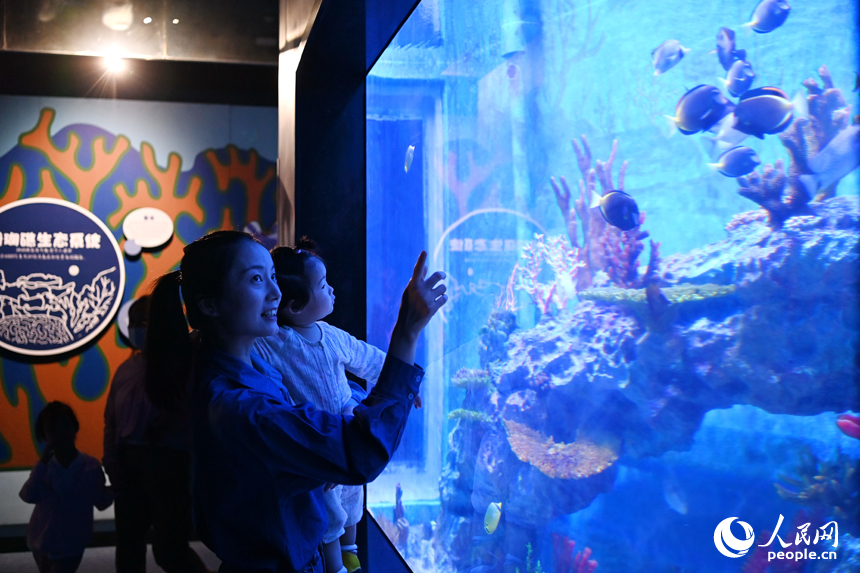 九江市湖口縣江豚灣的長江鄱陽湖水生生物保護基地，許多游客在水族館觀賞水生物。人民網 朱海鵬攝