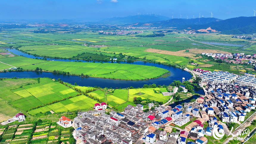 吉安市吉水县枫江镇小江村，一栋栋村居民房与田园、河流、绿树相映成景。人民网 朱海鹏摄