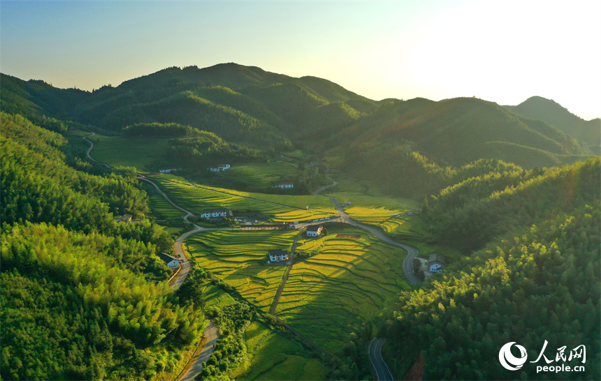 崇义县上堡乡上堡梯田，梯田依山蜿蜒、层层叠叠，秋风中掀起层层金色稻浪。人民网 朱海鹏摄