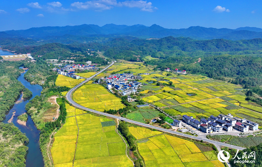 赣州市宁都县洛口镇员布村，“四好农村路”与沿线稻田、农房、青山相映相称，路畅景美如画。人民网 朱海鹏摄