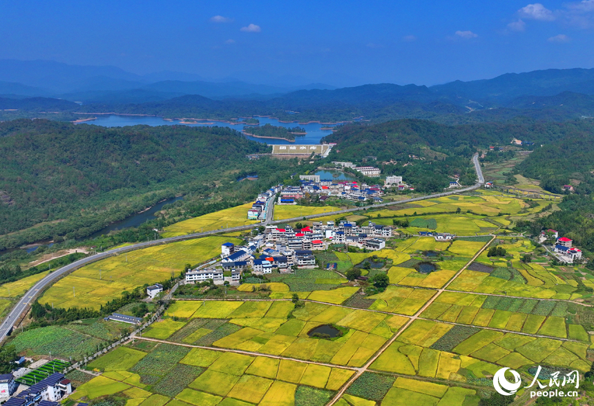 赣州市宁都县洛口镇员布村，“四好农村路”与沿线稻田、农房、青山相映相称，路畅景美如画。人民网 朱海鹏摄