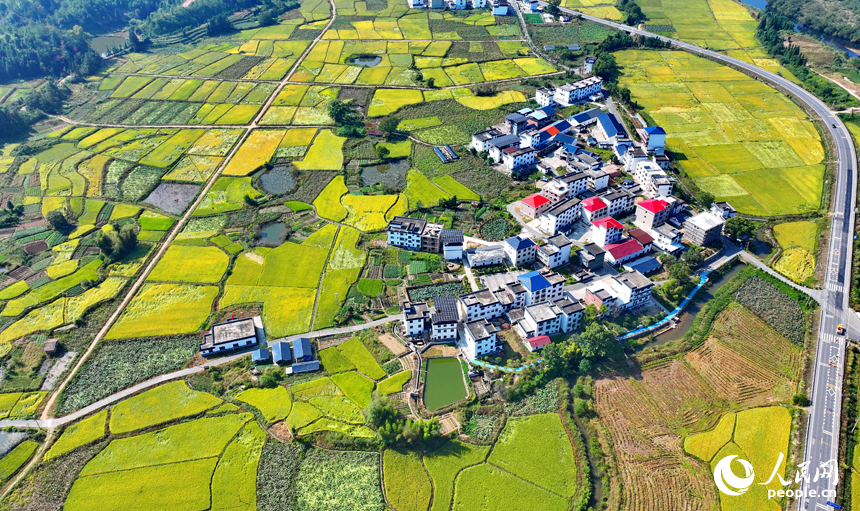 赣州市宁都县洛口镇员布村，“四好农村路”与沿线稻田、农房、青山相映相称，路畅景美如画。人民网 朱海鹏摄