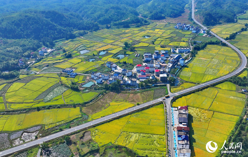 赣州市宁都县洛口镇员布村，“四好农村路”与沿线稻田、农房、青山相映相称，路畅景美如画。人民网 朱海鹏摄