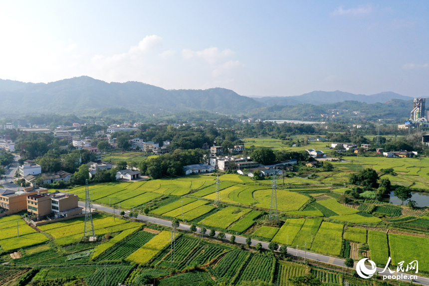 瑞金市云石山乡丰垅村沃野与民居相映，航拍镜头下“丰”景如画。人民网记者 时雨摄