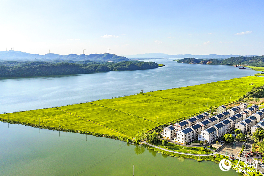 吉安市吉水县醪桥镇江口村，错落有致的民居与青山绿水相映成趣，乡村美景如画。人民网 朱海鹏摄