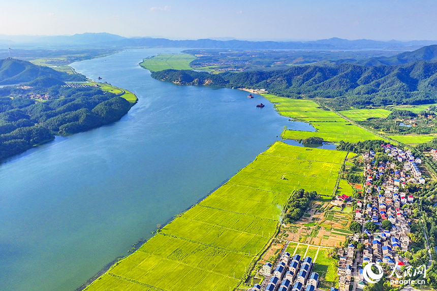 吉安市吉水县醪桥镇江口村，错落有致的民居与青山绿水相映成趣，乡村美景如画。人民网 朱海鹏摄