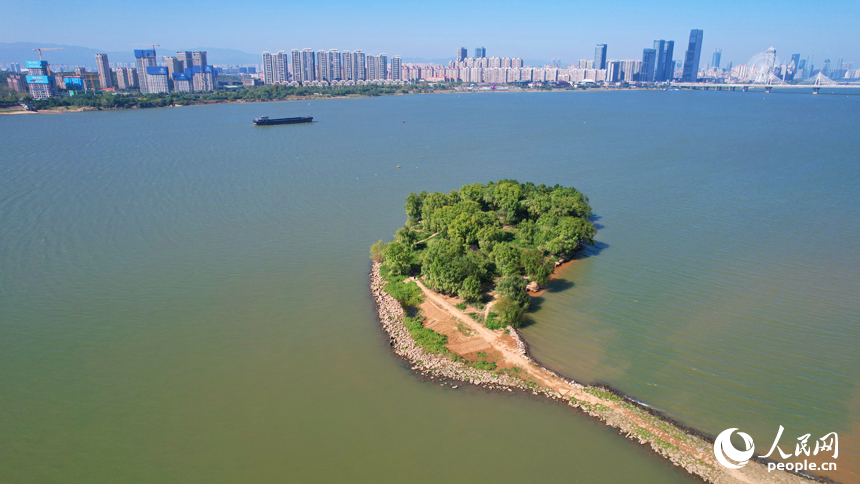 近日，南昌市赣江两岸秋色宜人，与蓝天和城市楼群相映成景。人民网记者 毛思远摄