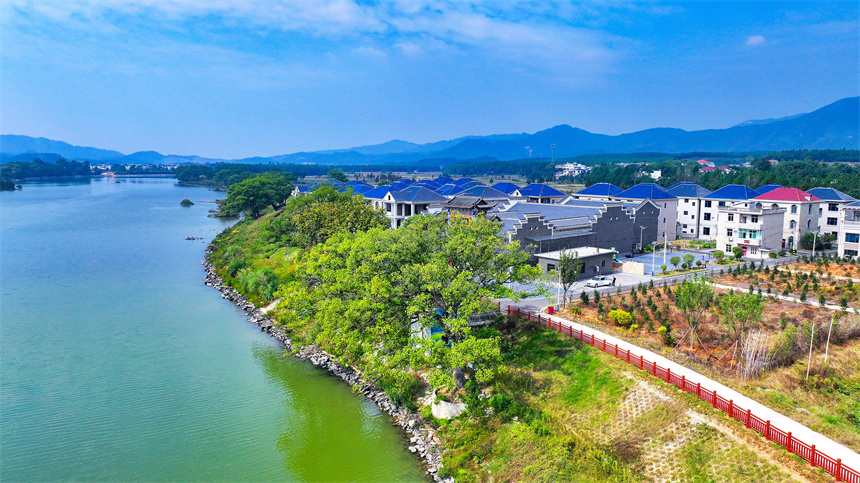 航拍江西省吉安市吉水县乌江镇鱼梁新村秋色正浓，景色如诗如画。廖敏摄