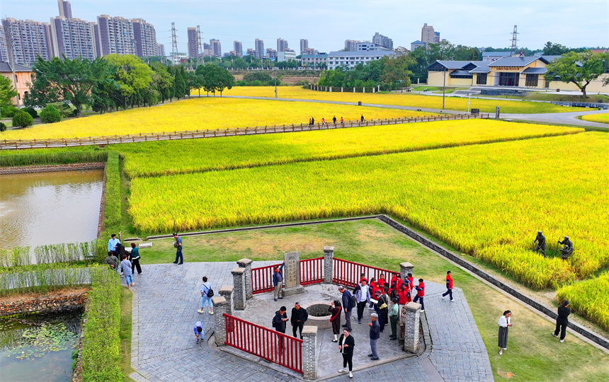 瑞金市红井景区，许多游客在参观“红井”，接受爱国主义和革命传统教育。人民网 朱海鹏摄