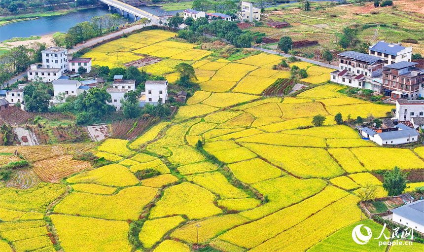 赣州市安远县凤山乡，阡陌纵横、房屋错落，与青山绿树交相辉映，处处色彩斑斓风景宜人。人民网 朱海鹏摄