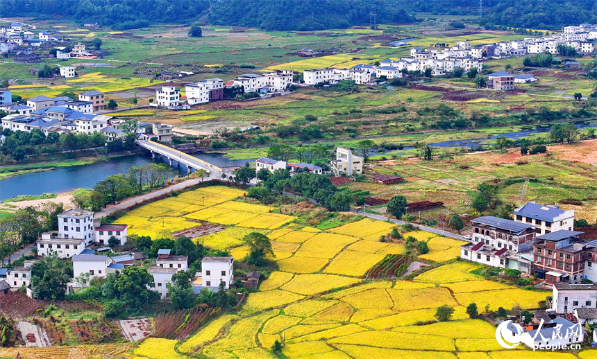 赣州市安远县凤山乡，阡陌纵横、房屋错落，与青山绿树交相辉映，处处色彩斑斓风景宜人。人民网 朱海鹏摄