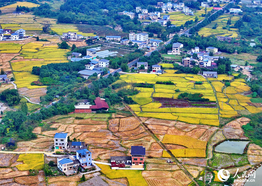 赣州市安远县凤山乡，阡陌纵横、房屋错落，与青山绿树交相辉映，处处色彩斑斓风景宜人。人民网 朱海鹏摄