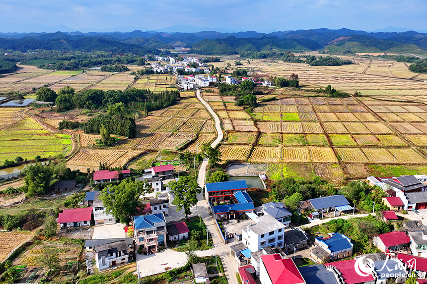 宜春市宜丰县澄塘镇黄坪村，连片的高标准农田纵横交错，与村居民房相映成景。人民网 朱海鹏摄