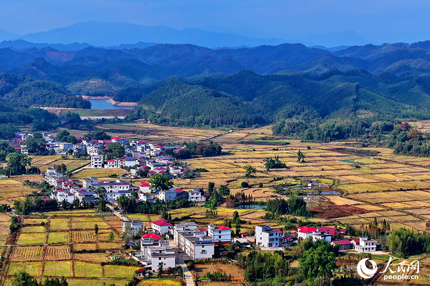 宜春市宜丰县澄塘镇黄坪村，连片的高标准农田纵横交错，与村居民房相映成景。人民网 朱海鹏摄