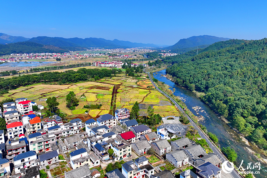 初冬時節的吉安市永新縣龍源口鎮黃陂洲村，綠樹、青山與農房、田野相映相襯。人民網 朱海鵬攝