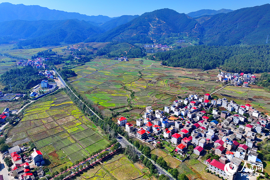 初冬时节的吉安市永新县龙源口镇黄陂洲村，绿树、青山与农房、田野相映相衬。人民网 朱海鹏摄