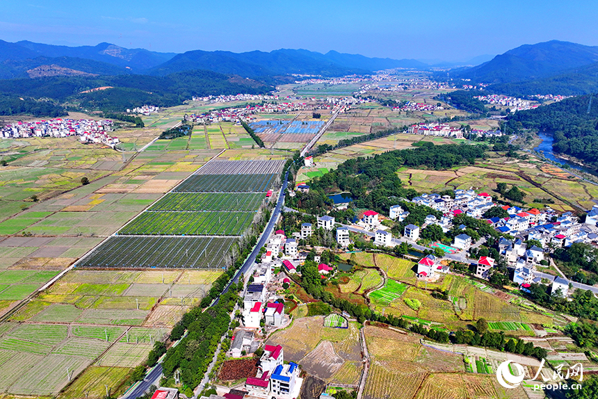 初冬时节的吉安市永新县龙源口镇黄陂洲村，绿树、青山与农房、田野相映相衬。人民网 朱海鹏摄