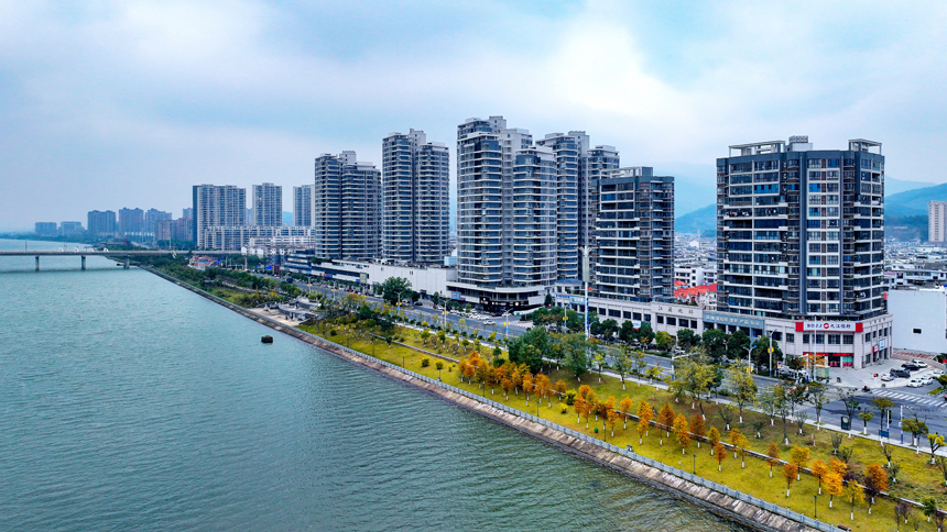 吉水縣贛江岸邊，楓紅杏黃，層林盡染，景美如畫。 廖敏攝