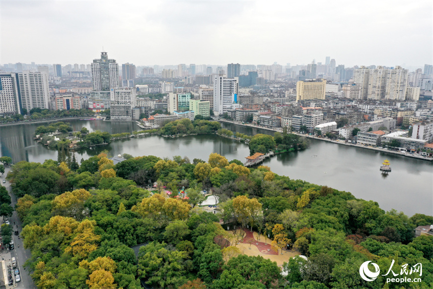 21日拍攝的南昌八一公園水清岸綠，市民和游客正在公園裡休閑。人民網記者 時雨攝