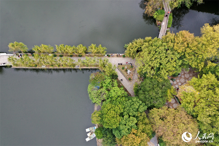 21日拍攝的南昌八一公園水清岸綠，市民和游客正在公園裡休閑。人民網記者 時雨攝