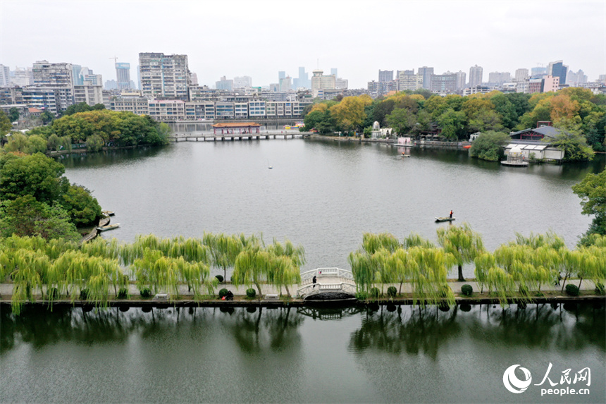 21日拍攝的南昌八一公園水清岸綠，市民和游客正在公園裡休閑。人民網記者 時雨攝