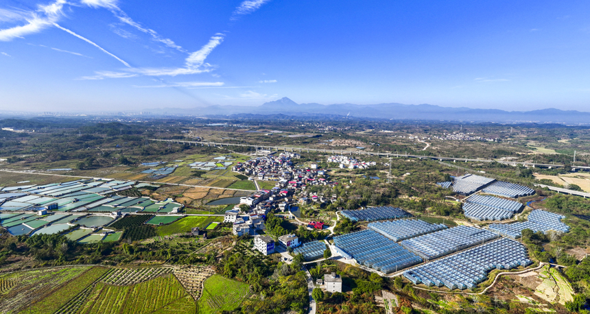 南豐縣洽灣鎮西坪村，連片的養殖塘與大棚、田園、村庄相互映襯，構成一幅和美鄉村畫卷。謝東攝